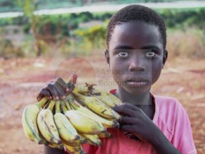 Banane — Mostra Fotografica Benefica, Associazione Baobab Ticino
