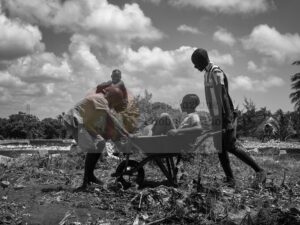 Carriola B&W — Mostra Fotografica Benefica, Associazione Baobab Ticino